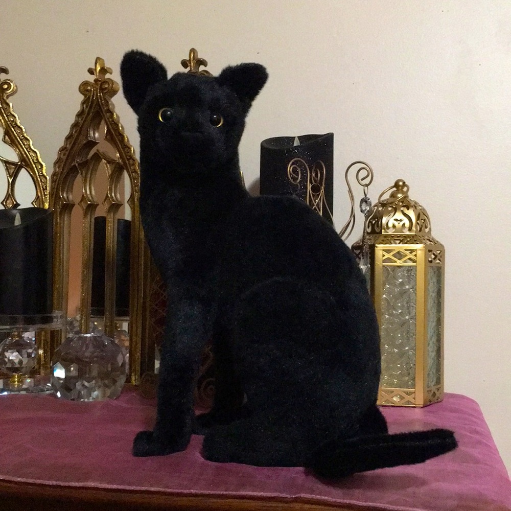 Black realistic stuffed cat. BINX.Halloween witchy familiar. Goth Salem the cat